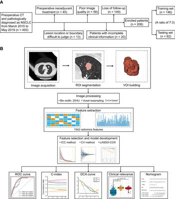 Preoperative computed tomography-based tumoral radiomic features prediction for overall survival in resectable non-small cell lung cancer
